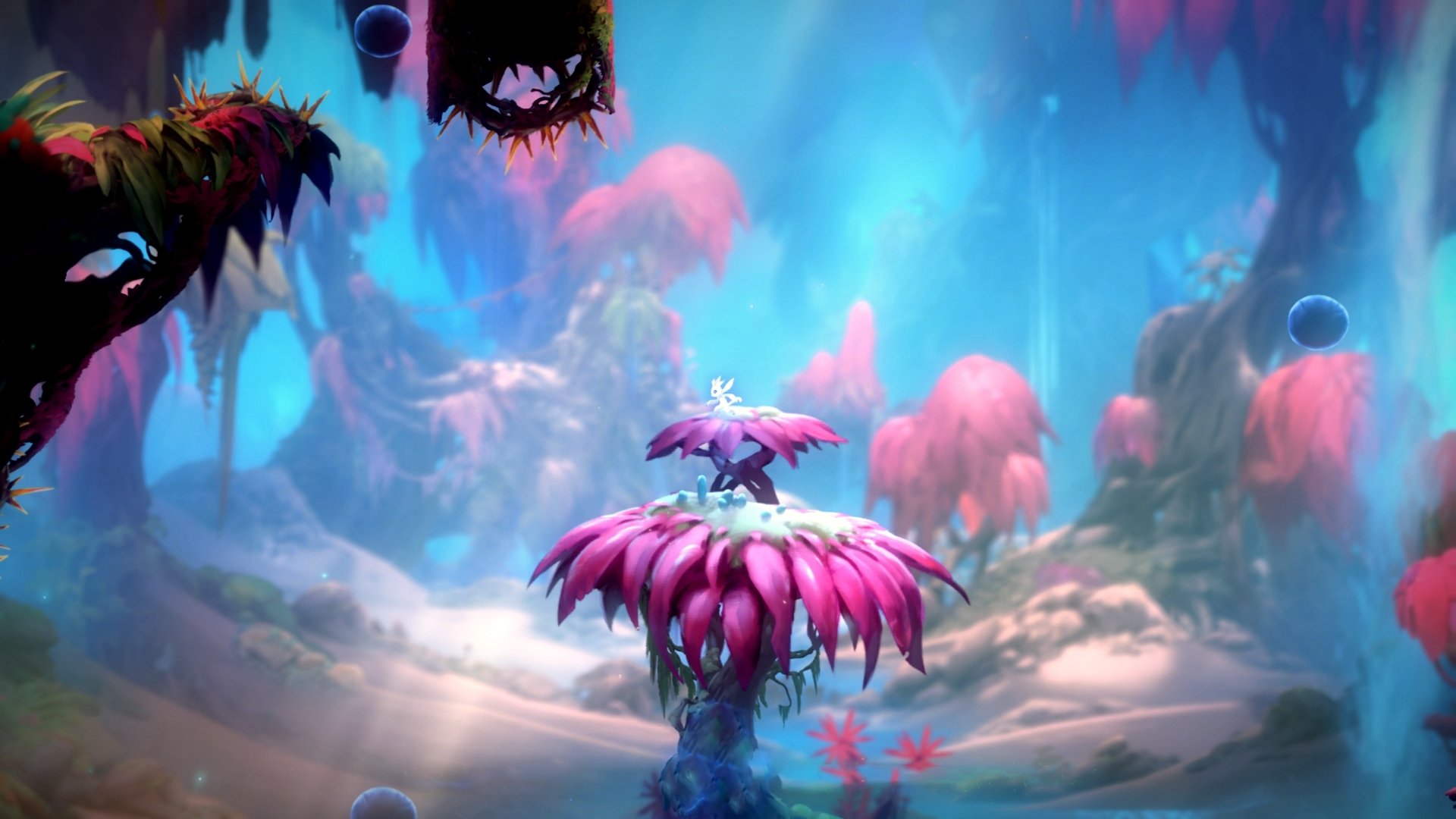 东契奇关键一锤定音,尼克斯终结吉林队连胜神话